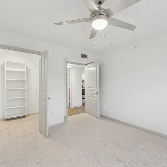 A room with a ceiling fan and a carpeted floor.